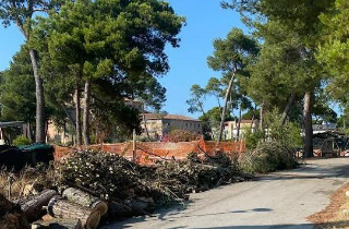 Pineta di Pescara, Masci: “Investiti 1,2 milioni in tre anni per interventi”