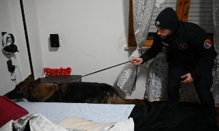 Blitz a Pescara: smantellata rete familiare di spaccio, 15 misure cautelari