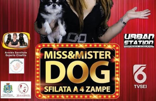 Pescara, polemiche sul contributo comunale a Miss & Mister Dog